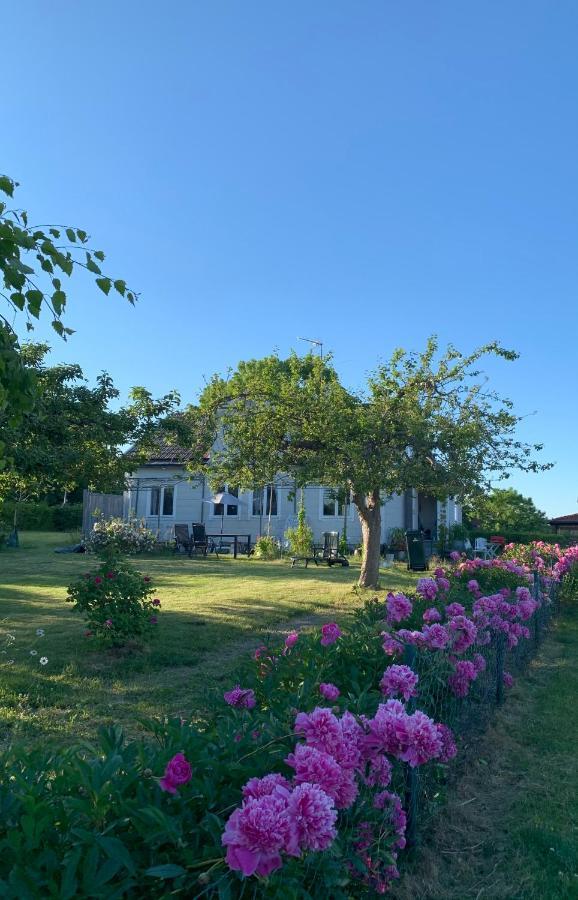 Villagatan Norrtälje エクステリア 写真
